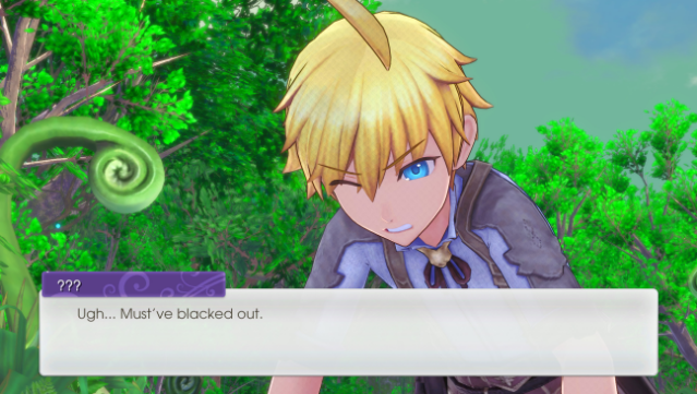 Rune Factory PC Screenshot